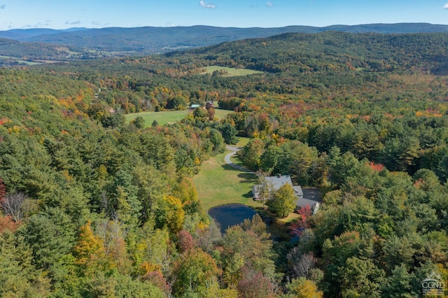 2205 County Route 5, Canaan, NY 12029 - aerial view of a forest and a mountainous background