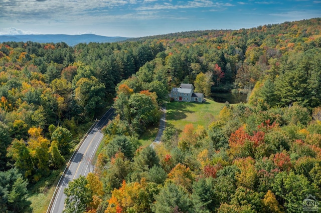 2205 County Route 5, Canaan, NY 12029 - aerial view of property's location featuring a heavily wooded area