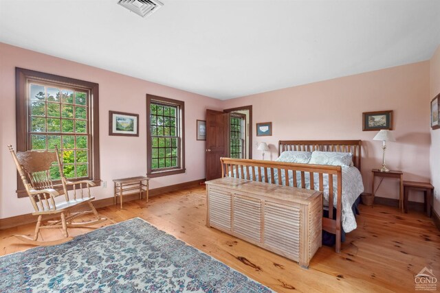 2205 County Route 5, Canaan, NY 12029 - bedroom featuring wood finished floors and baseboards