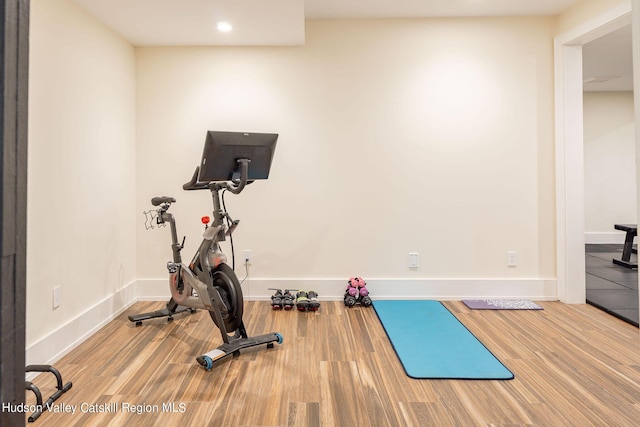 exercise room featuring wood-type flooring