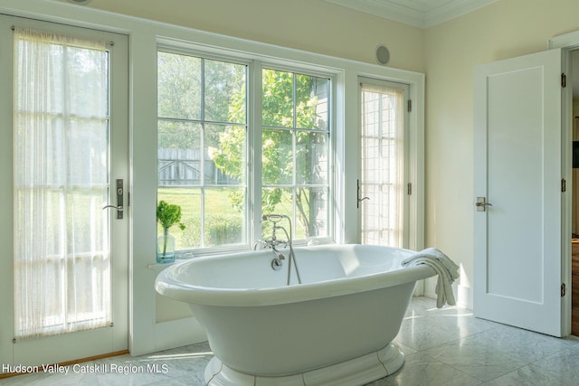 interior space with a healthy amount of sunlight, crown molding, and a bathing tub