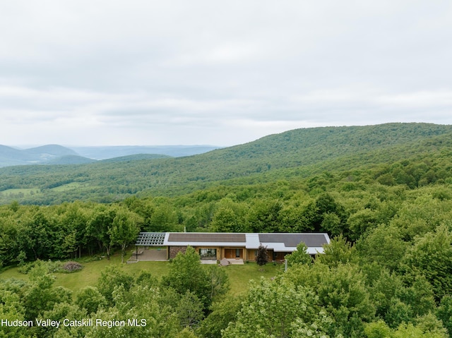 1199 W Highland Rd, Hobart, NY 13788 - view of mountain backdrop with a forest