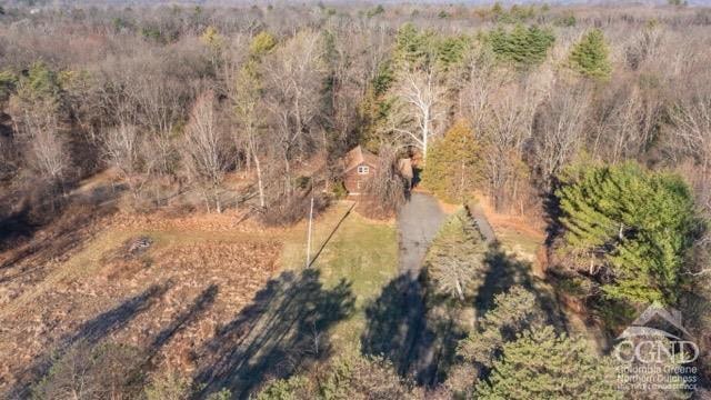 269 Church Ave, Germantown, NY 12526 - drone / aerial view of a forest