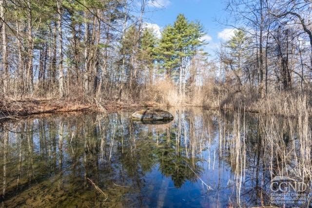269 Church Ave, Germantown, NY 12526 - water view featuring a forest