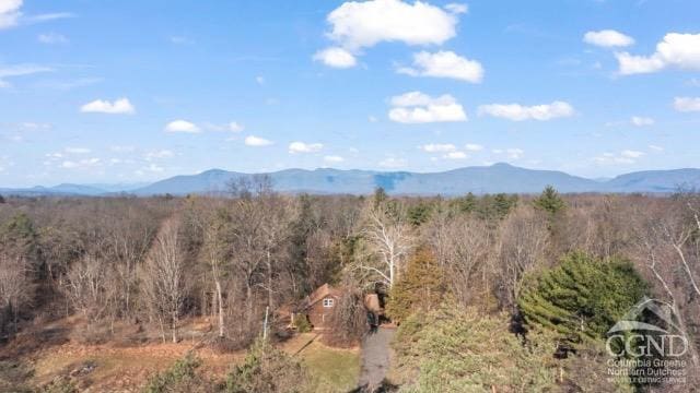 269 Church Ave, Germantown, NY 12526 - mountain view featuring a forest