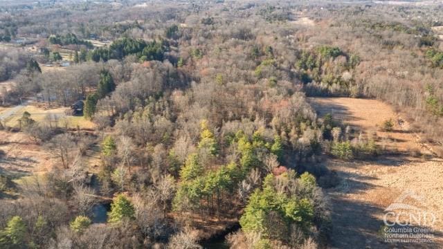 269 Church Ave, Germantown, NY 12526 - view of property location with a forest