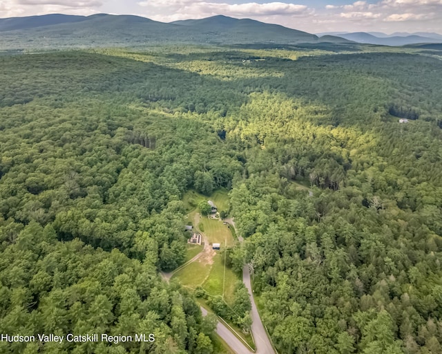 23 Dewitt Rd, Accord, NY 12404 - photo 40