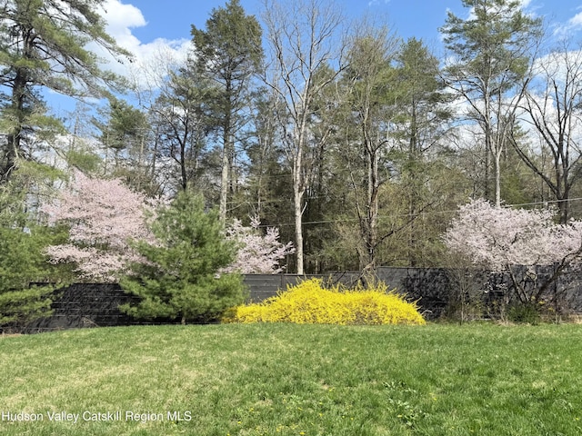 23 Dewitt Rd, Accord, NY 12404 - photo 4