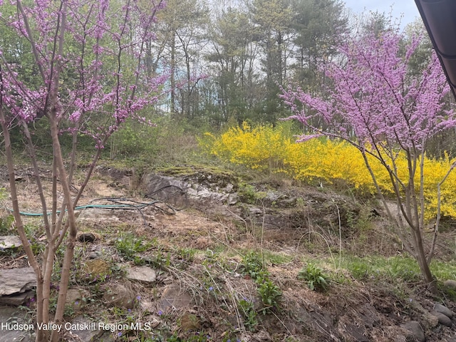 23 Dewitt Rd, Accord, NY 12404 - photo 9