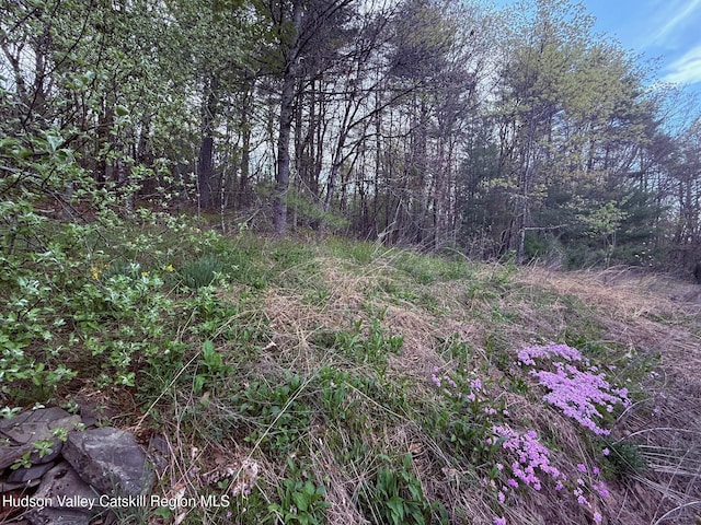 23 Dewitt Rd, Accord, NY 12404 - photo 41