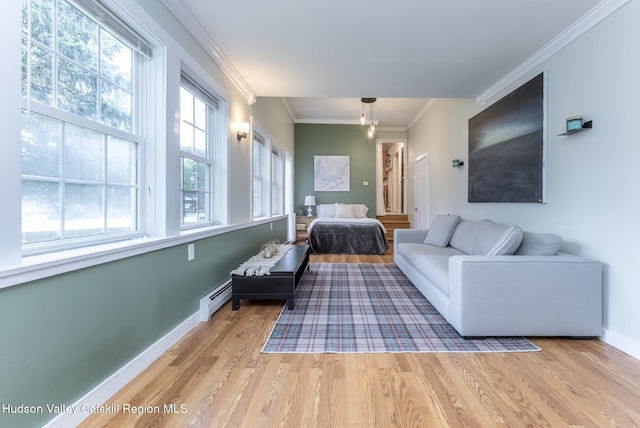 65 Lamb Ave, Saugerties, NY 12477 - living area featuring light wood-style floors, a baseboard heating unit, and ornamental molding