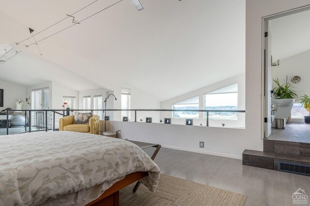219 Sleepy Hollow Rd, Athens, NY 12015 - bedroom featuring wood finished floors, multiple windows, vaulted ceiling, and baseboards