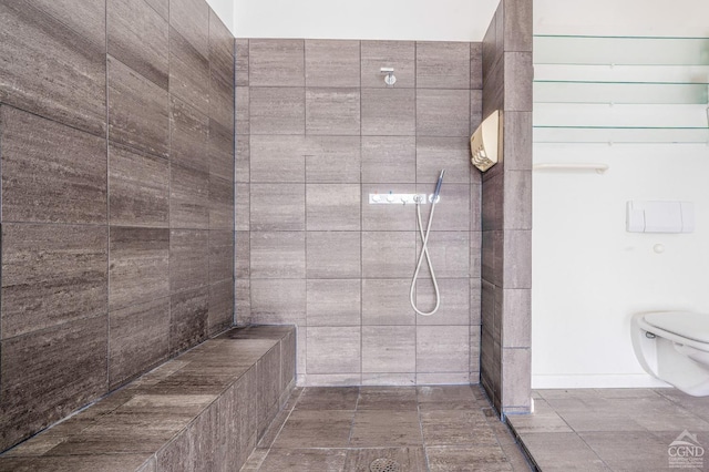 219 Sleepy Hollow Rd, Athens, NY 12015 - bathroom featuring a tile shower and toilet