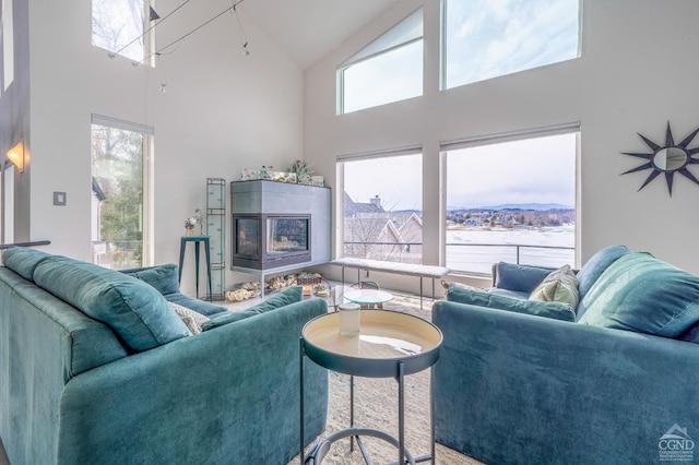 219 Sleepy Hollow Rd, Athens, NY 12015 - living area featuring high vaulted ceiling