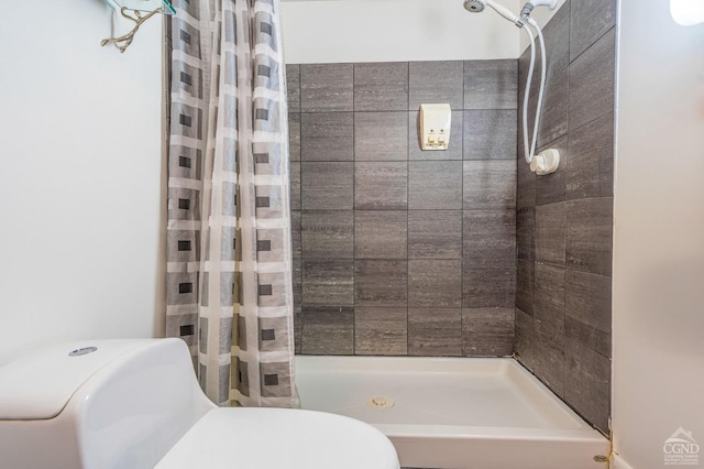 219 Sleepy Hollow Rd, Athens, NY 12015 - full bath with a stall shower and toilet
