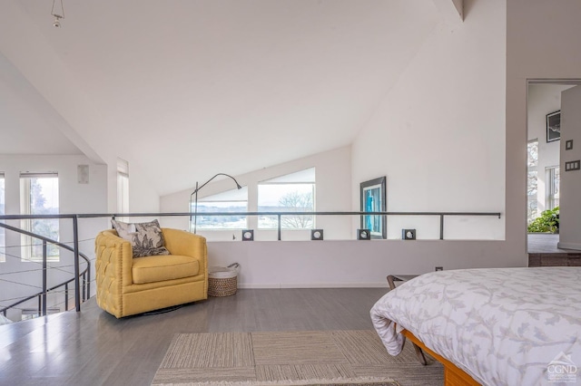 219 Sleepy Hollow Rd, Athens, NY 12015 - bedroom featuring wood finished floors, high vaulted ceiling, and baseboards