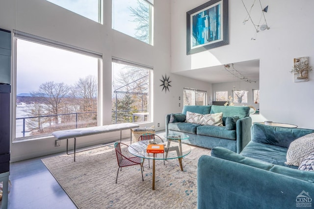 219 Sleepy Hollow Rd, Athens, NY 12015 - living room featuring a high ceiling and wood finished floors