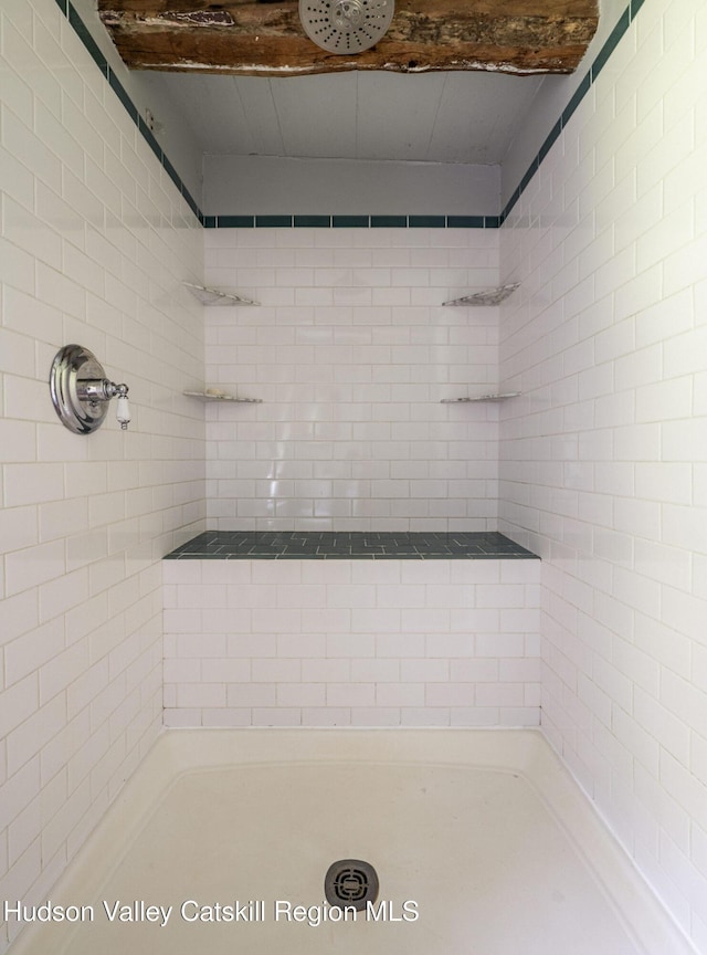 19 Dug Rd, Accord, NY 12404 - bathroom with tiled shower