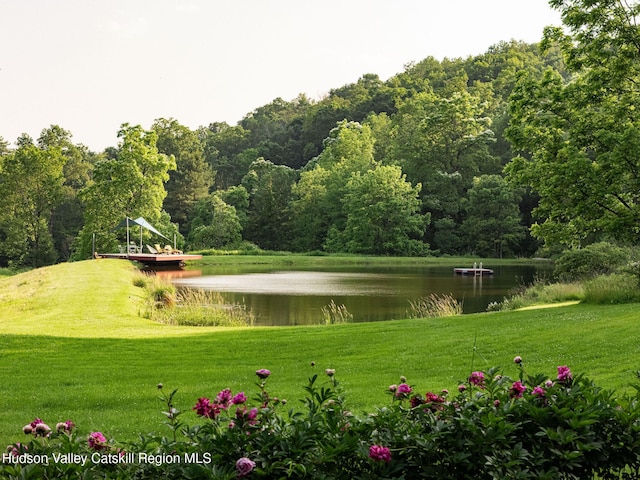 19 Dug Rd, Accord, NY 12404 - view of community featuring a water view, a view of trees, and a yard