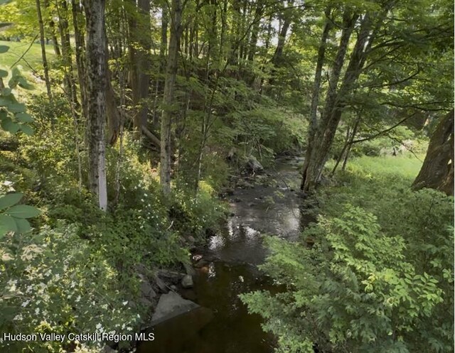 19 Dug Rd, Accord, NY 12404 - view of local wilderness