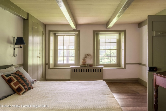 19 Dug Rd, Accord, NY 12404 - bedroom with radiator heating unit, multiple windows, beam ceiling, and wood finished floors