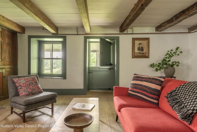 19 Dug Rd, Accord, NY 12404 - living area with wood-type flooring and a wooden ceiling with exposed beams