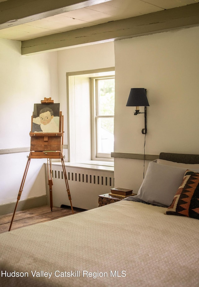 19 Dug Rd, Accord, NY 12404 - bedroom with wood finished floors and radiator heating unit