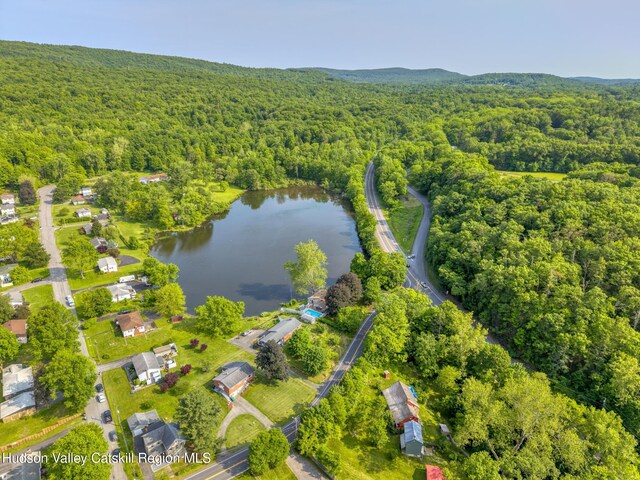 118 New Salem Rd, Kingston, NY 12401 - photo 30