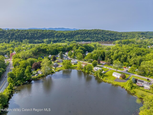 118 New Salem Rd, Kingston, NY 12401 - photo 31