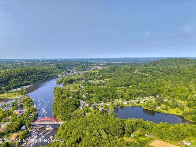 118 New Salem Rd, Kingston, NY 12401 - photo 32