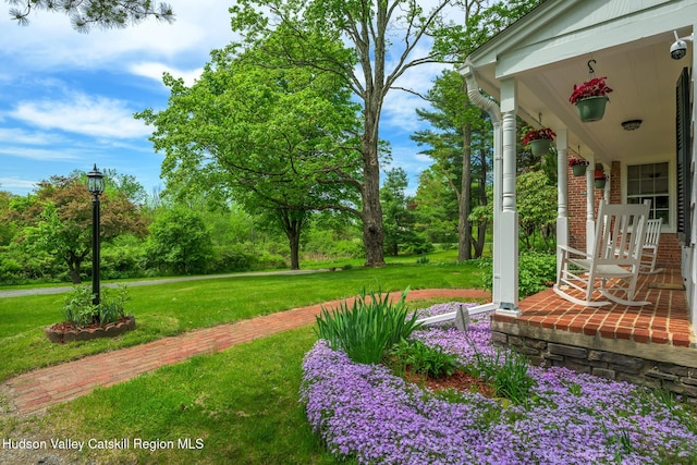 view of grassy yard featuring covered porch and view of scattered trees