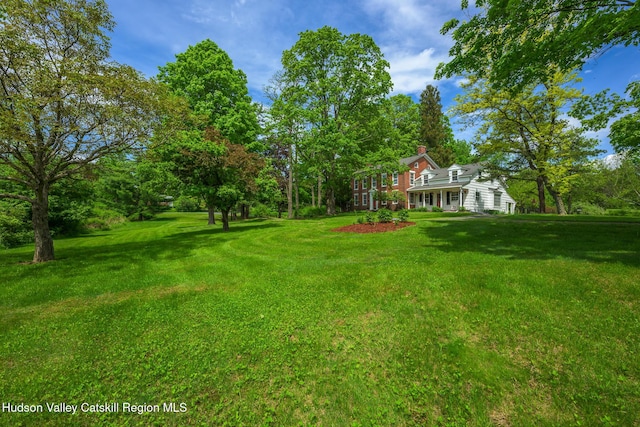view of green lawn