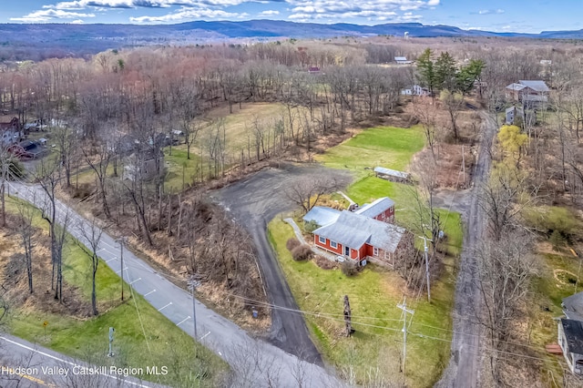 birds eye view of property with a forest view and a mountain view