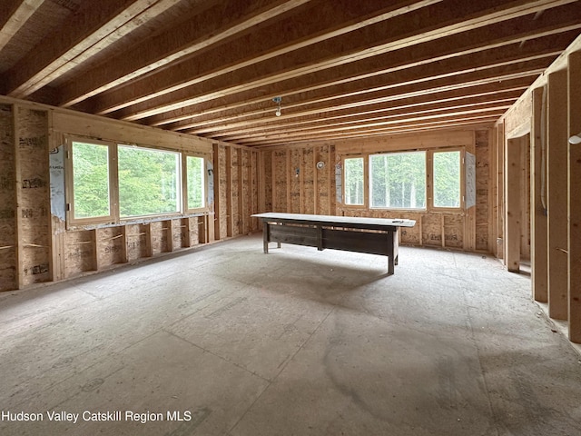 40-67 Popstone Rd, Stone Ridge, NY 12484 - game room with healthy amount of natural light and pool table
