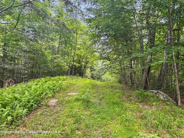 40-67 Popstone Rd, Stone Ridge, NY 12484 - view of yard featuring a forest view