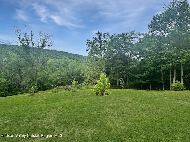 40-67 Popstone Rd, Stone Ridge, NY 12484 - view of grassy yard featuring a forest view
