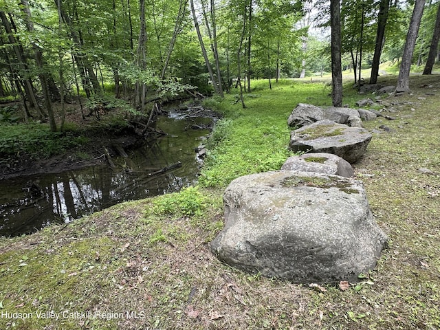 40-67 Popstone Rd, Stone Ridge, NY 12484 - view of yard