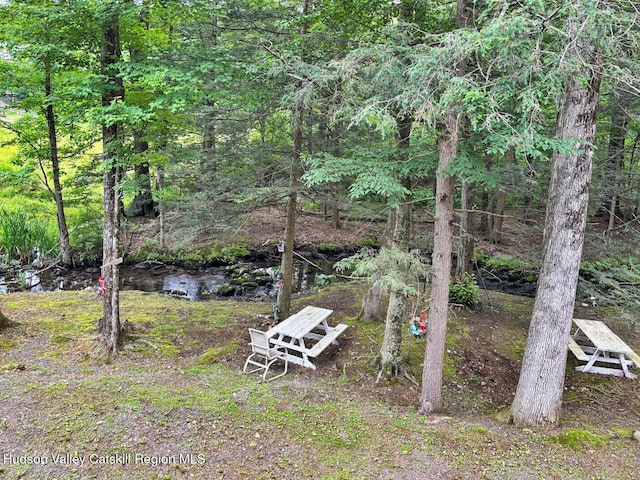 40-67 Popstone Rd, Stone Ridge, NY 12484 - view of yard