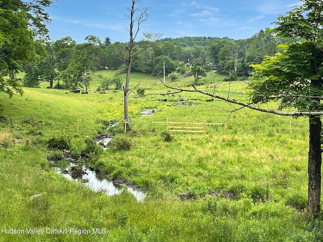 40-67 Popstone Rd, Stone Ridge, NY 12484 - view of yard featuring a view of trees
