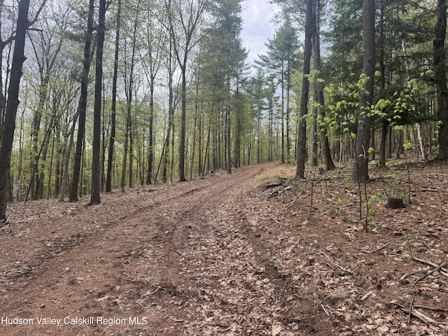 L15 S Durham Estates Rd, Acra, NY 12405
