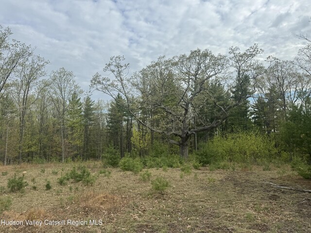 L15 S Durham Estates Rd, Acra, NY 12405