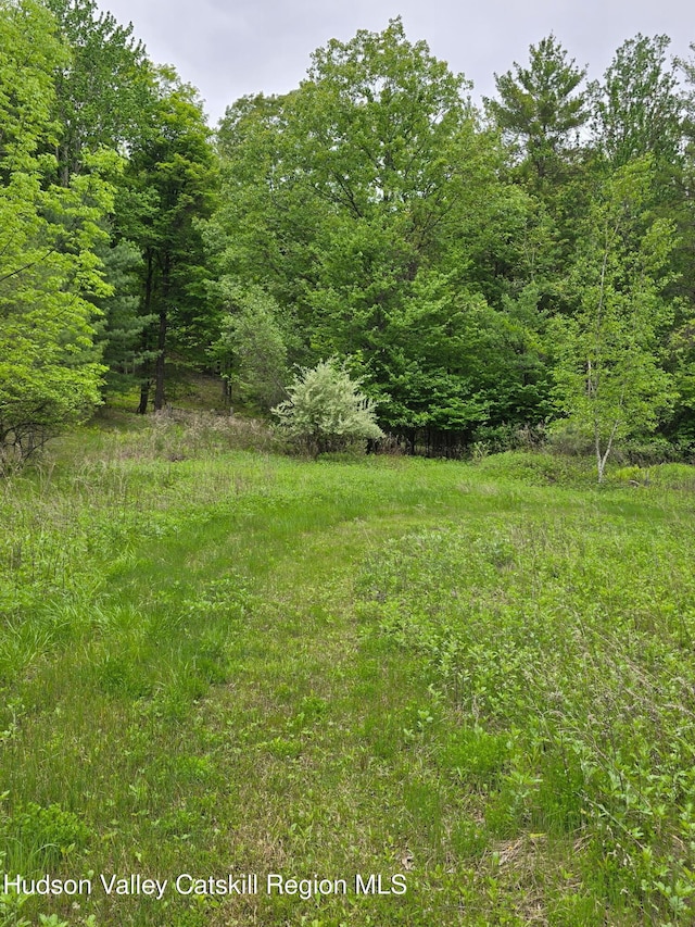 L15 S Durham Estates Rd, Acra, NY 12405