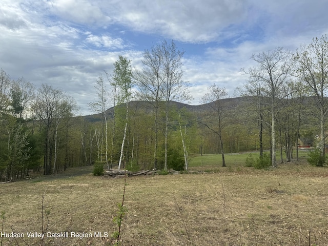 L15 S Durham Estates Rd, Acra, NY 12405