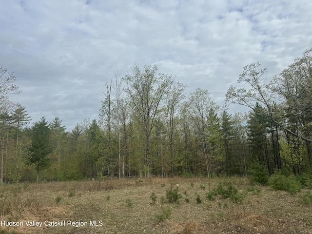 L15 S Durham Estates Rd, Acra, NY 12405