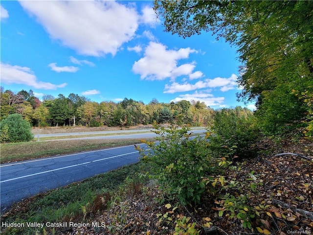 00 Kaufman Rd, Monticello, NY 12701 - photo 18