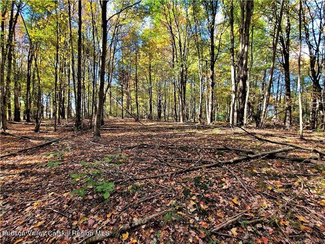 00 Kaufman Rd, Monticello, NY 12701 - photo 32