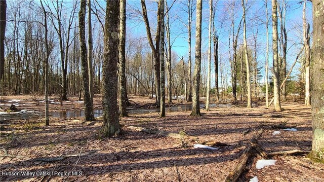 00 Kaufman Rd, Monticello, NY 12701 - photo 15