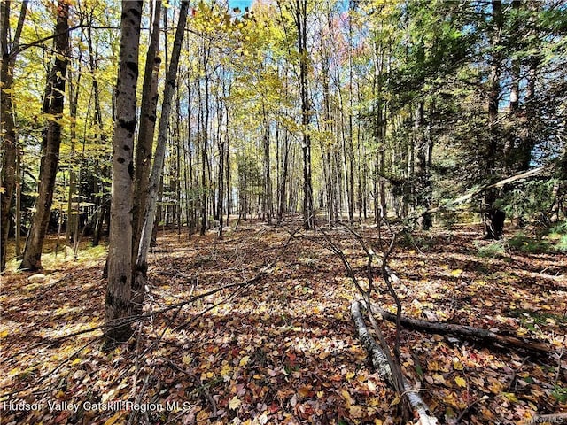 00 Kaufman Rd, Monticello, NY 12701 - photo 27