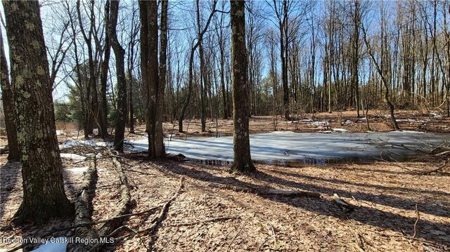 00 Kaufman Rd, Monticello, NY 12701 - photo 17