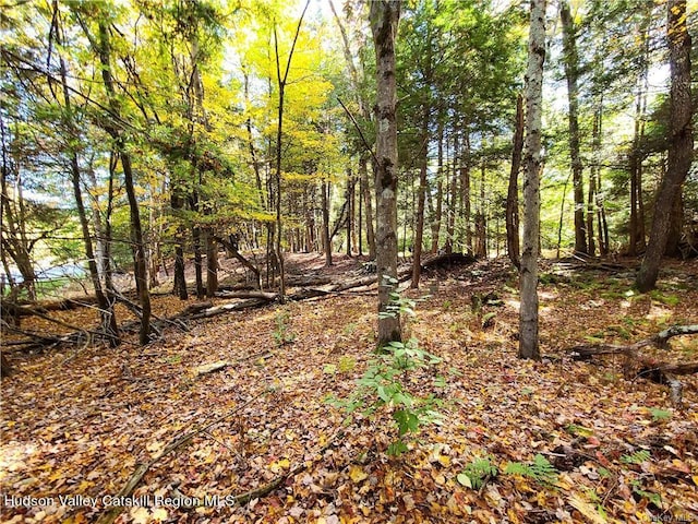 00 Kaufman Rd, Monticello, NY 12701 - photo 34